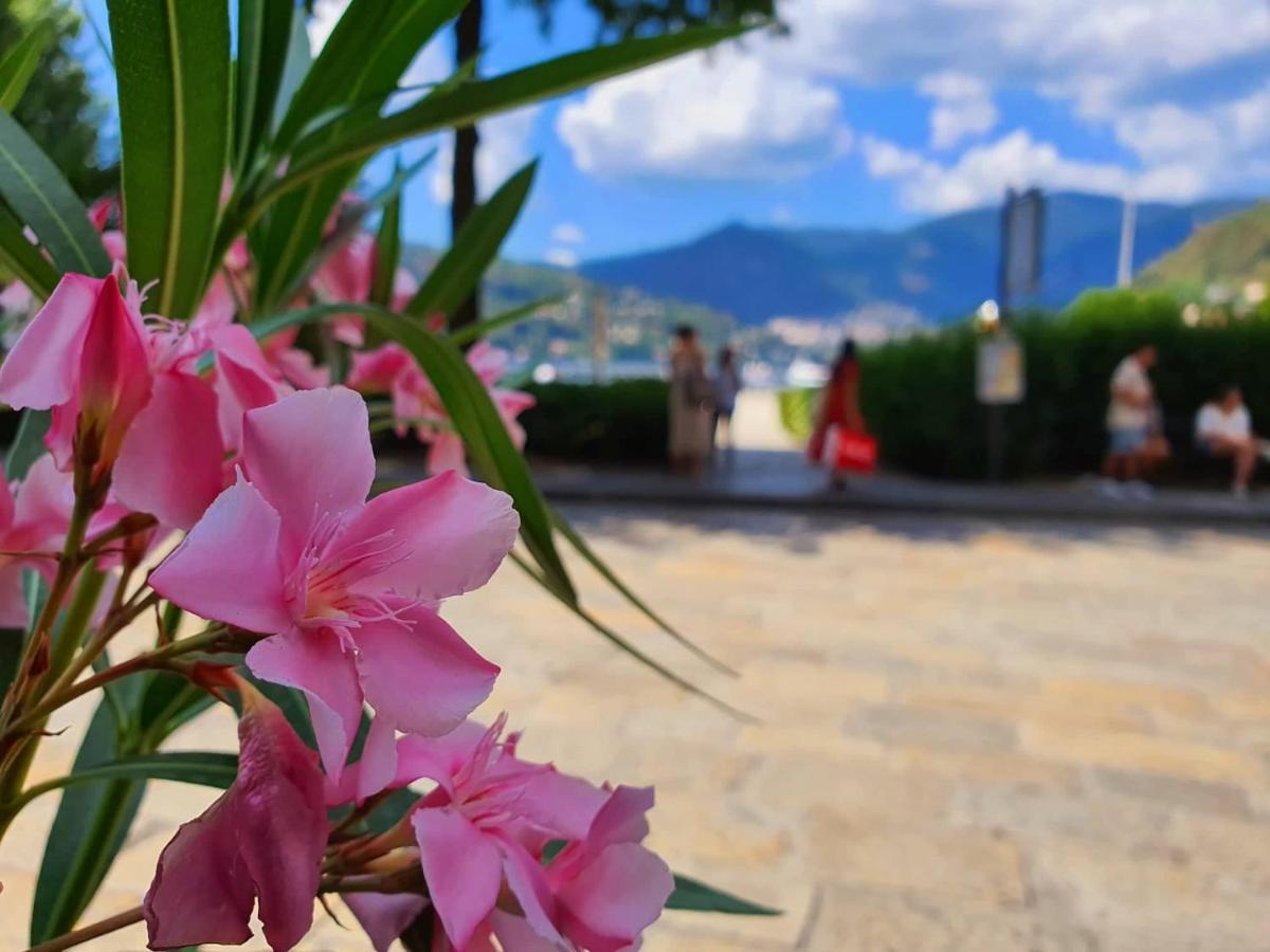 Divina Luxury Apartment With Jacuzzi Near The Lake Como Kültér fotó